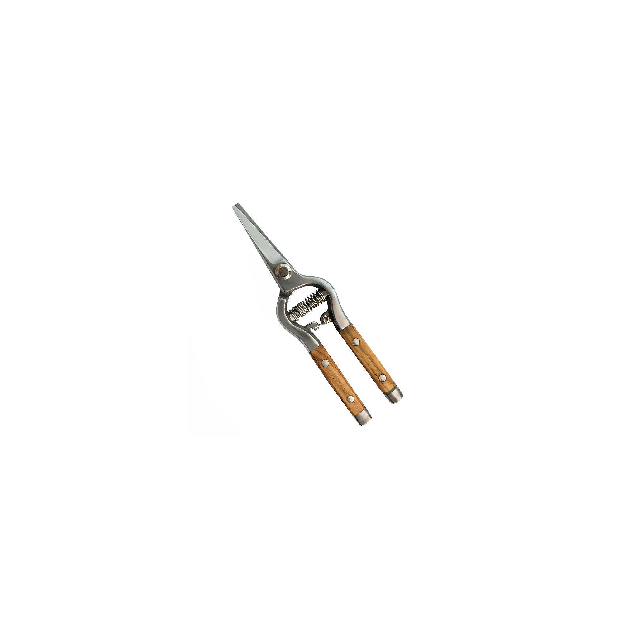 Lot de 2 épinettes de jardin - Suan - En métal - Avec loquet de sécurité - Imagen 8