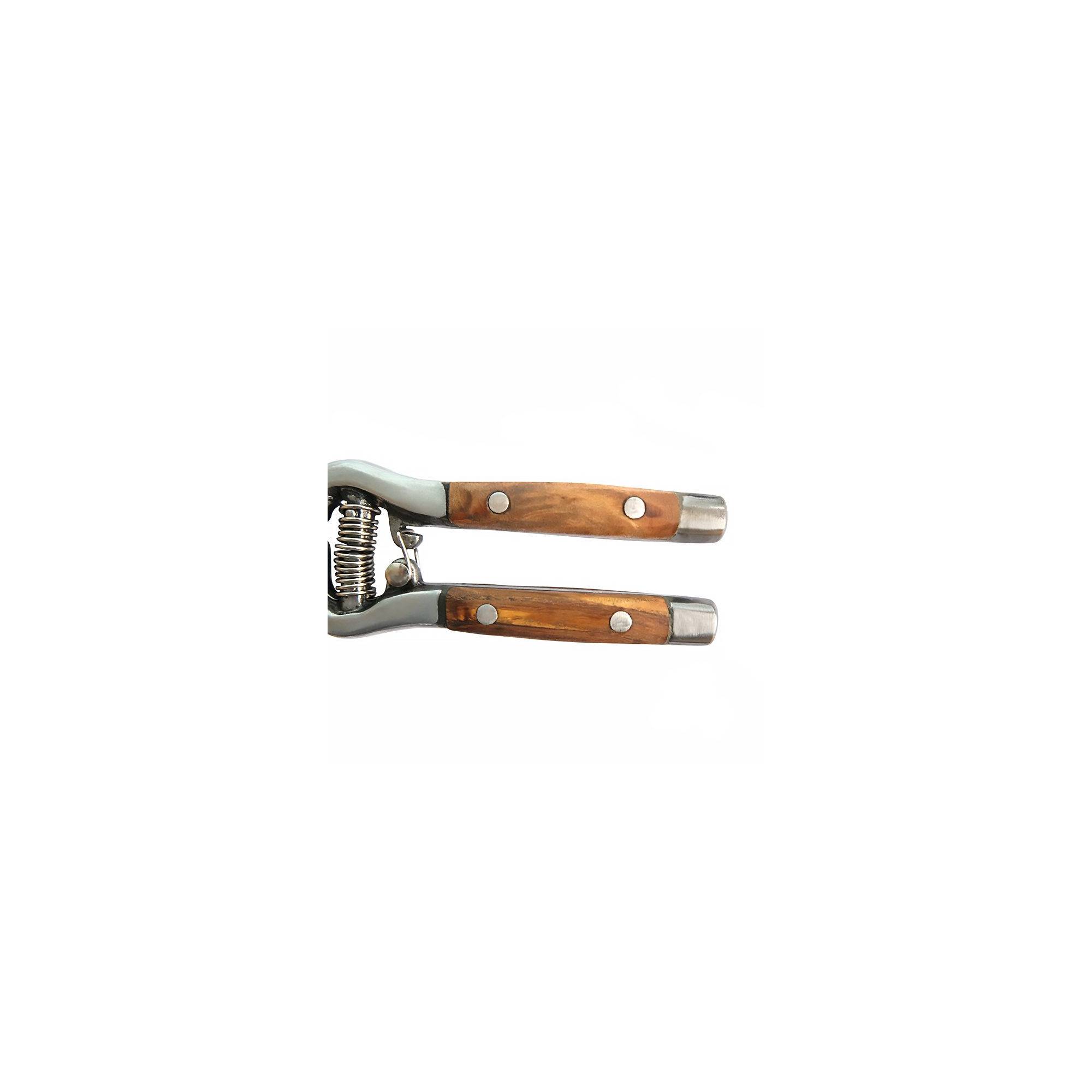 Lot de 2 épinettes de jardin - Suan - En métal - Avec loquet de sécurité - Imagen 3