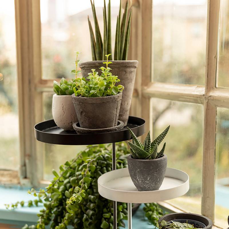 Esschert Design - Lot de 2 supports ronds 18cm - Esschert Design - Imagen 5