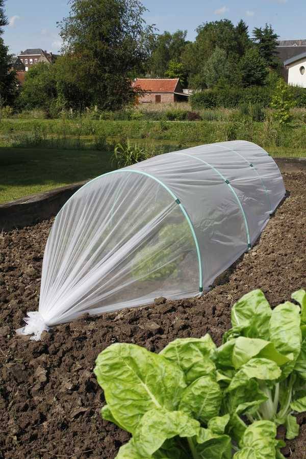 Nortène - Film de forçage anti-insectes "Biocontrol" - 1,40 x 10 m Nortene - Imagen 1