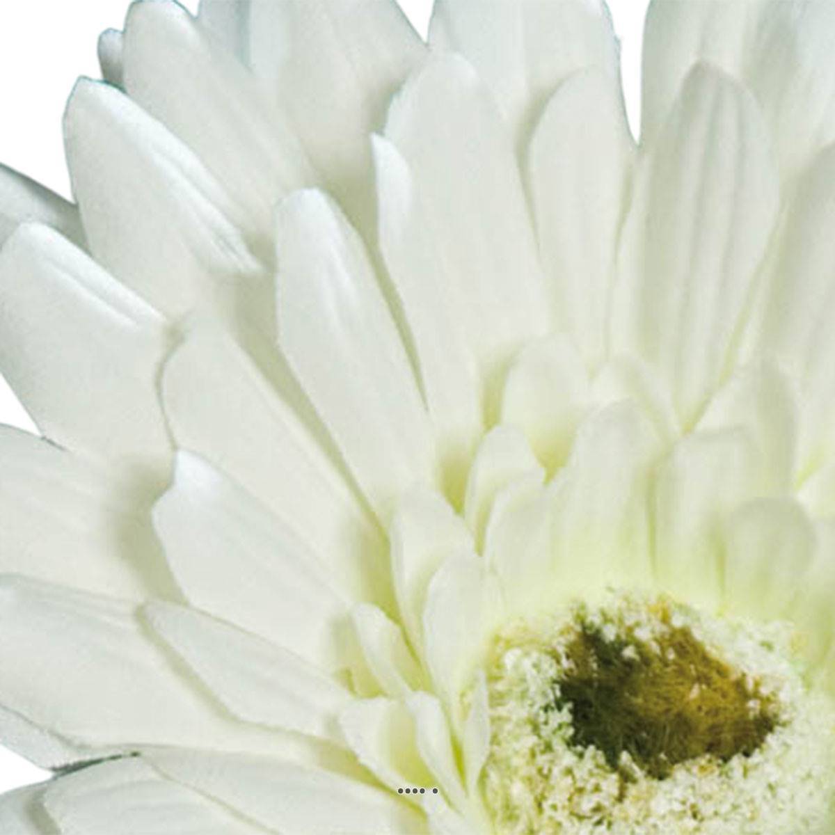 Gerbera artificiel, H 56 cm - D 11 cm superbe Crème - couleur: Crème - Image 3
