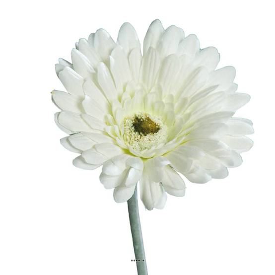 Gerbera artificiel, H 56 cm - D 11 cm superbe Crème - couleur: Crème - Image 1