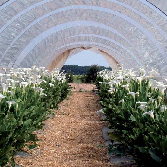 Ribimex - Bâche de protection 4x10 m 160 g/m2 - Image 2