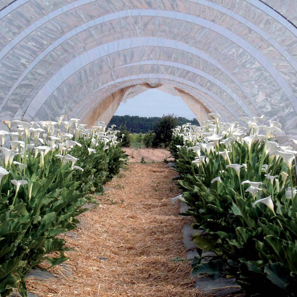 Ribimex - Bâche de protection 4x10 m 160 g/m2 - Imagen 2