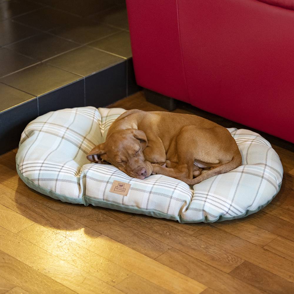 Ferplast - Coussin rembourré pour chiens et chats SCOTT 65/6, double-face, écossais, velours doux, lavable, Bleu - Imagen 7
