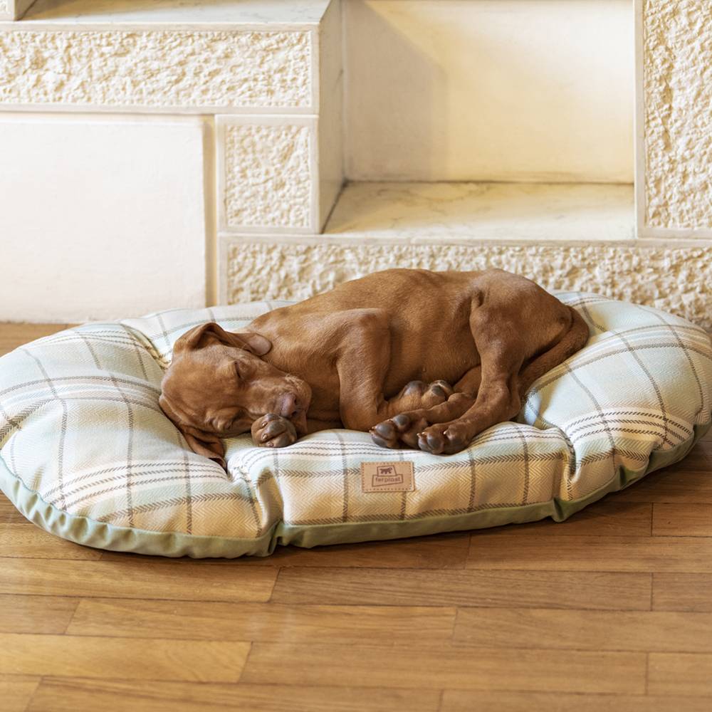 Ferplast - Coussin rembourré pour chiens et chats SCOTT 65/6, double-face, écossais, velours doux, lavable, Bleu - Imagen 6