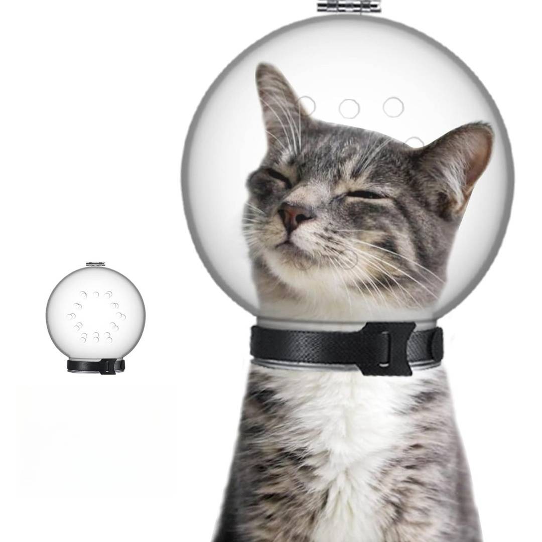 DtopbuyAge - Muselière pour chat DtopbuyAge - Image 1