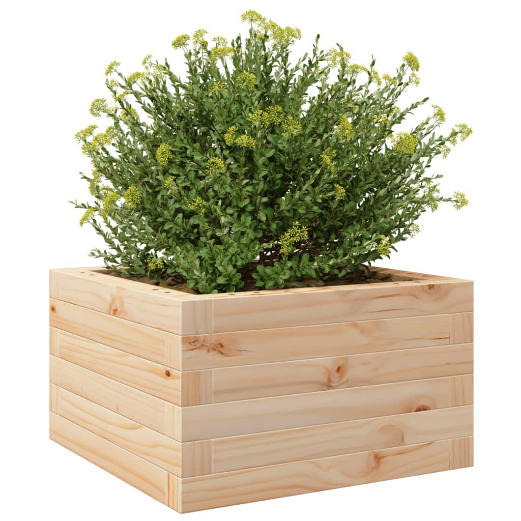 Mini Jardinière Carrée au Sol en Pin Massif – Cadre de Plantation Simple pour Fleurs Annuelles et Bulbes – 40x40cm Brun – ComfortXL Outdoor Living - Image 4