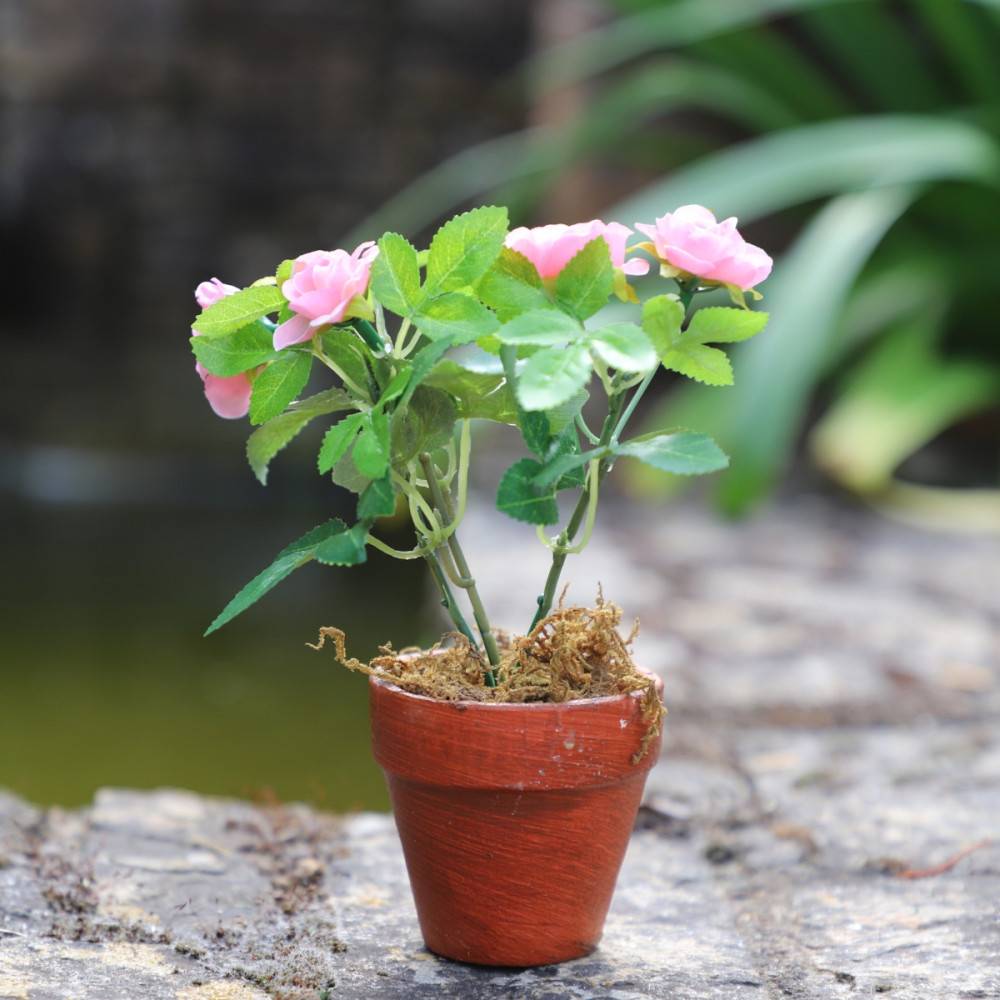 ~Rosier plante fleur artificielle extérieur cimetière tissu rose 12cm Chemin de campagne - Imagen 6