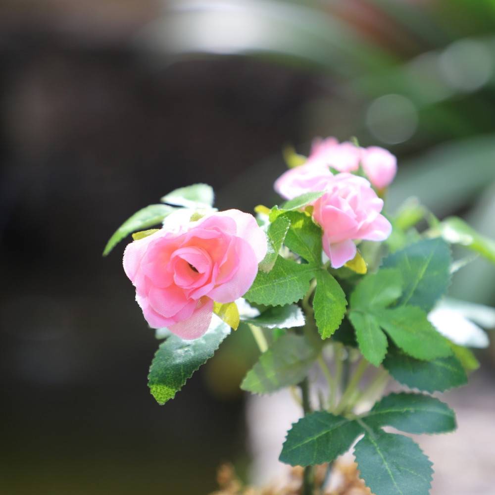 ~Rosier plante fleur artificielle extérieur cimetière tissu rose 12cm Chemin de campagne - Imagen 5