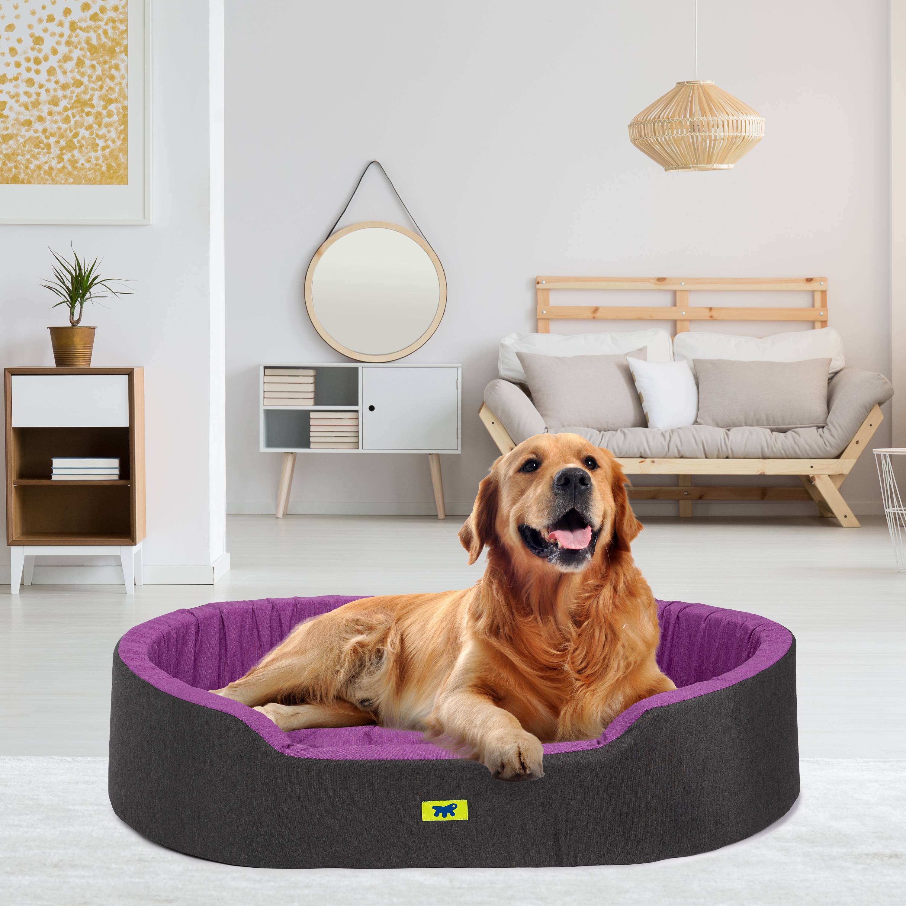 Ferplast - Ferplast Panier Chien Dandy, Coussin Amovible et Lavable, Housse en Coton avec Rembourrage Doux, Lit pour Chiens de Grande Taille, 110 x 70 x H 23 cm, - Imagen 3