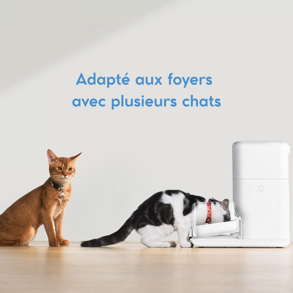 Catlink Fresh 2 Luxury Distributeur de croquettes intelligent pour chats CATLINK - Image 3