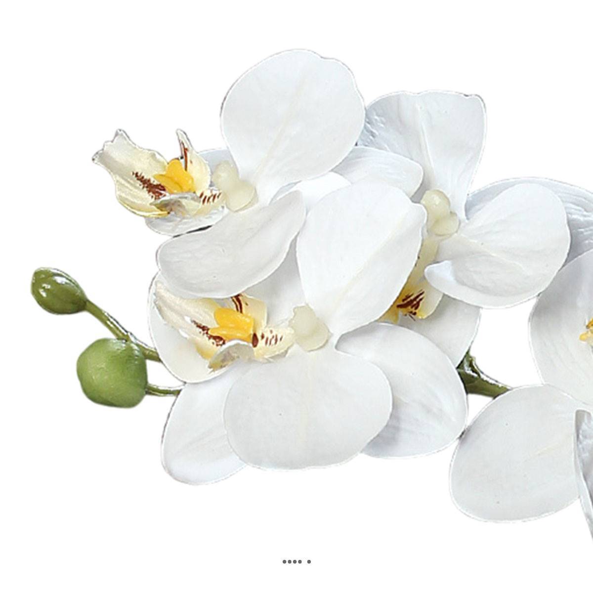 Artificielles - Orchidée phalaenopsis artificielle en coupe céramique H 25 cm Crème - dimhaut: H 25 cm - couleur: Crème - Imagen 3
