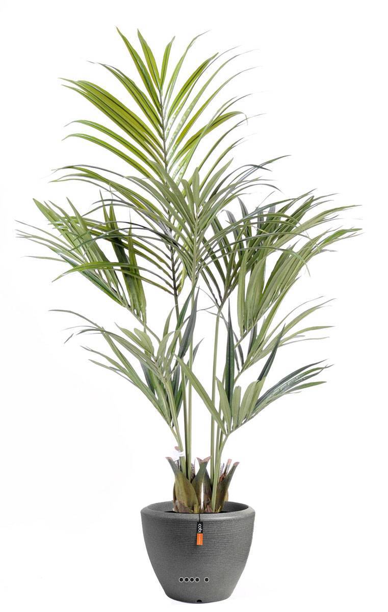 Artificielles - Palmier Kentia artificiel en pot superbe de réalisme H 150 cm Vert - dimhaut: H 145 cm - couleur: Vert