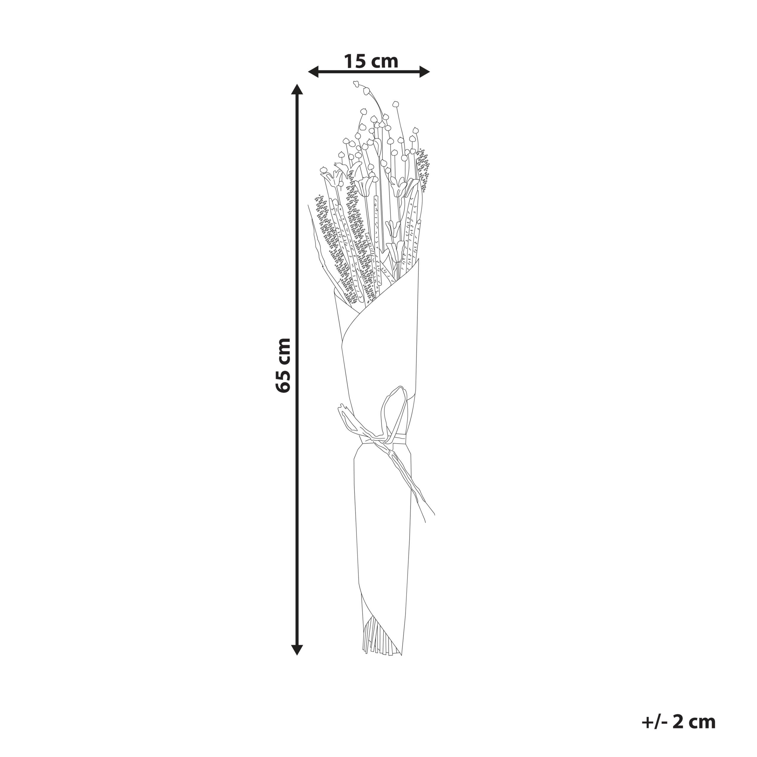 Beliani - Bouquet de fleurs séchées Fleurs séchées Naturel PAMPELUNA - 15x10x65- Beliani - Image 3