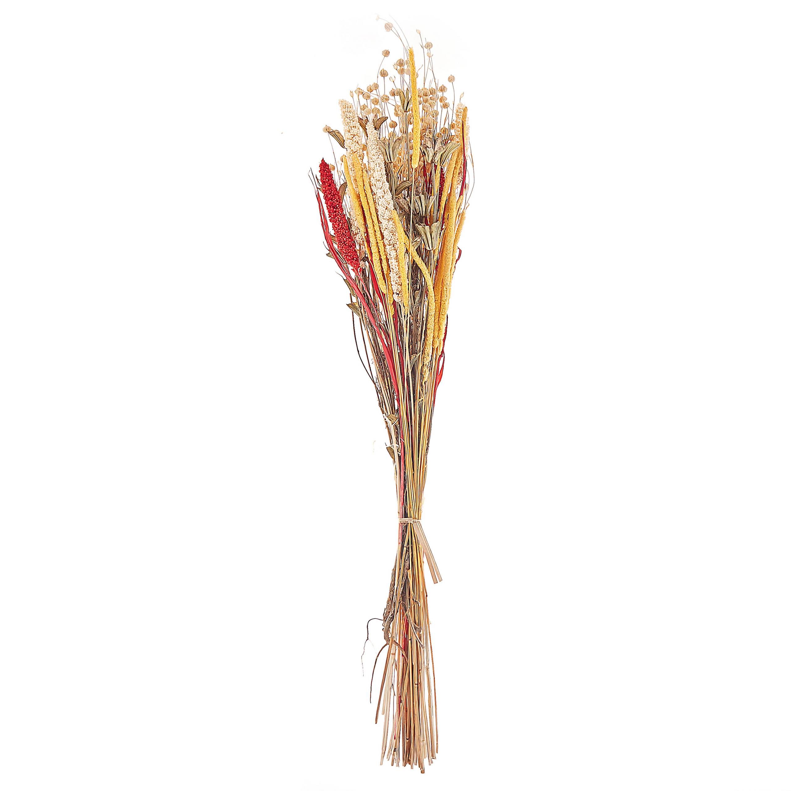 Beliani - Bouquet de fleurs séchées Fleurs séchées Naturel PAMPELUNA - 15x10x65- Beliani - Image 2