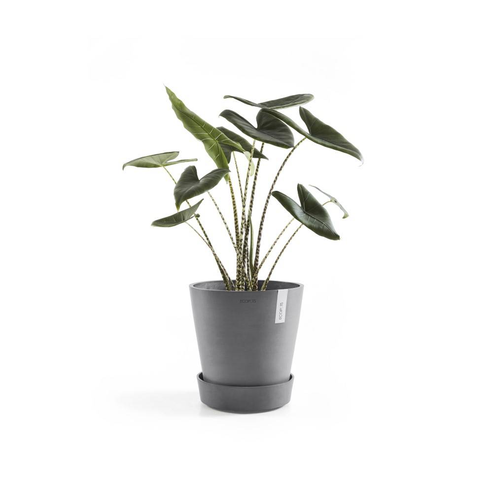 Ecopots - Support à roulettes Wheels 60 Gris - Ø 51 x H. 12,4 cm ECOPOTS - Imagen 2