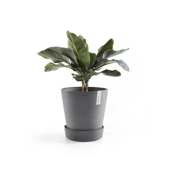 Ecopots - Support à roulettes Wheels 60 Gris - Ø 51 x H. 12,4 cm ECOPOTS - Imagen 3
