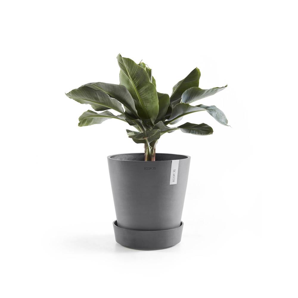 Ecopots - Support à roulettes Wheels 60 Gris - Ø 51 x H. 12,4 cm ECOPOTS - Imagen 3