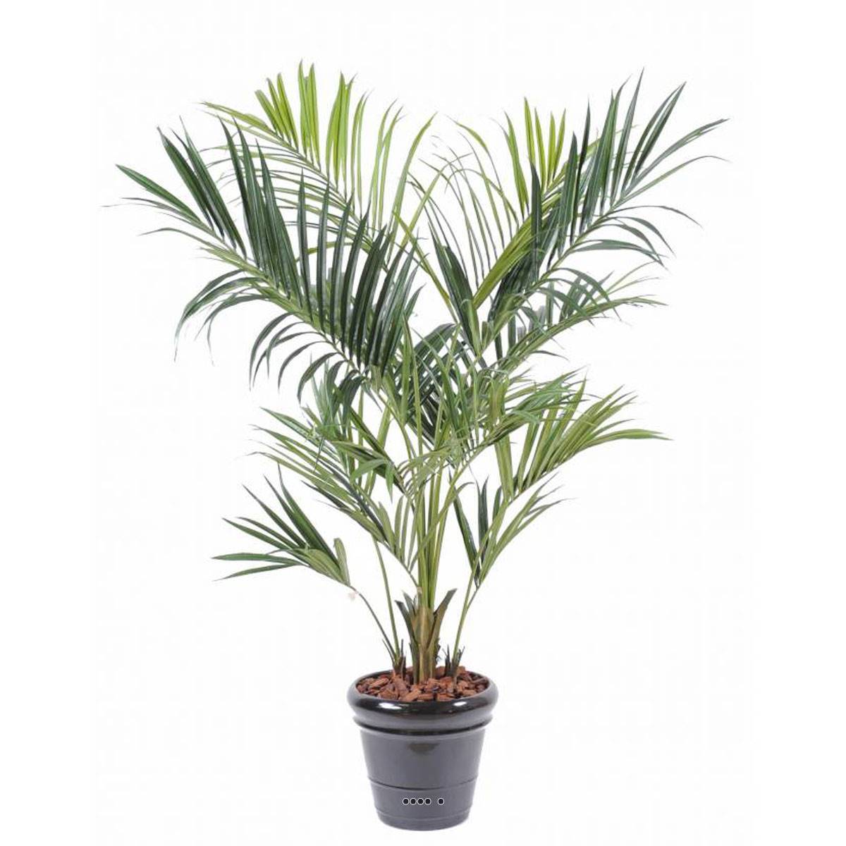 Artificielles - Palmier Kentia Artificiel Royal H 180 cm D 90 cm 14 palmes en pot - dimhaut: H 180 cm - couleur: Vert