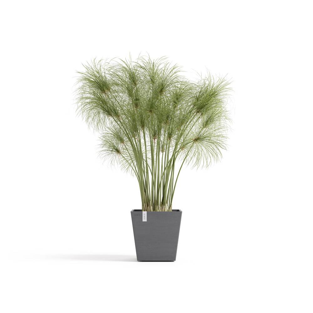 Ecopots - Pot Carré Rotterdam 25 Gris + réservoir d'eau - 25,2 x 25,2 x H. 24,5 cm - 10,7 L ECOPOTS - Imagen 1