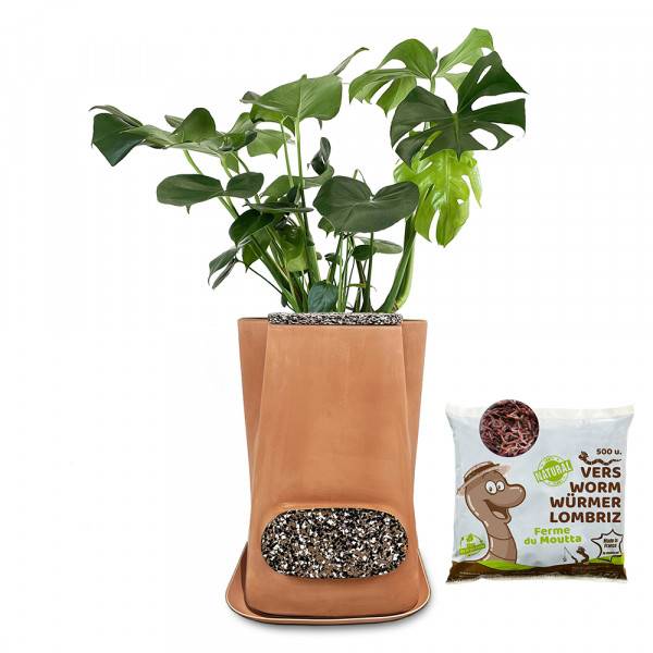 Pot de fleurs lombricomposteur en terre-cuite Naturel Transfarmers + 250gr Vers - Image 1