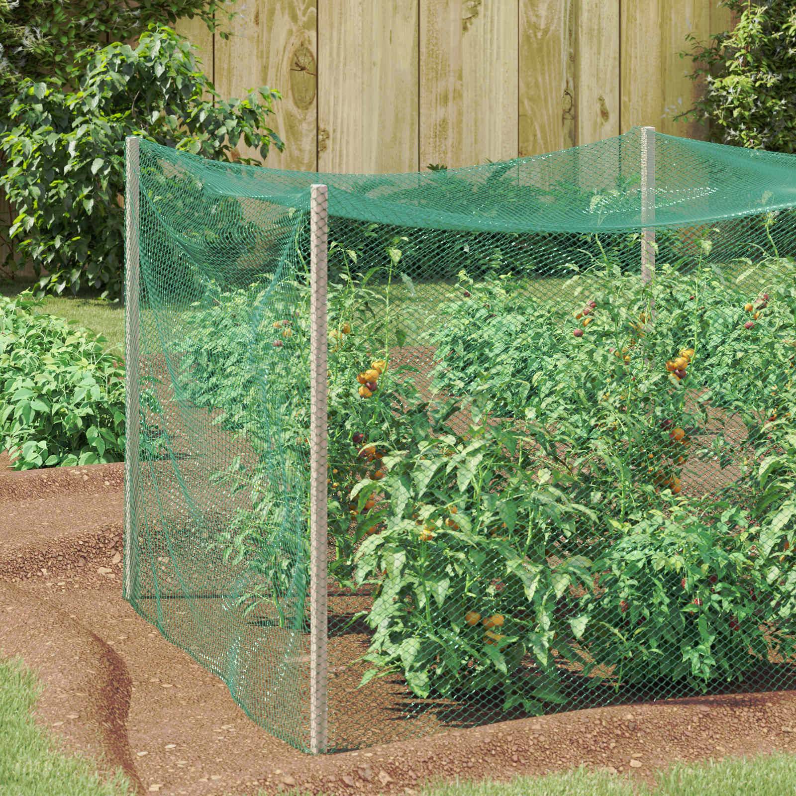 Filet de Protection Anti-oiseaux Polyéthylène pour Jardin et Arbres Fruitiers Vert 2 x 10 m - ComfortXL Outdoor Living