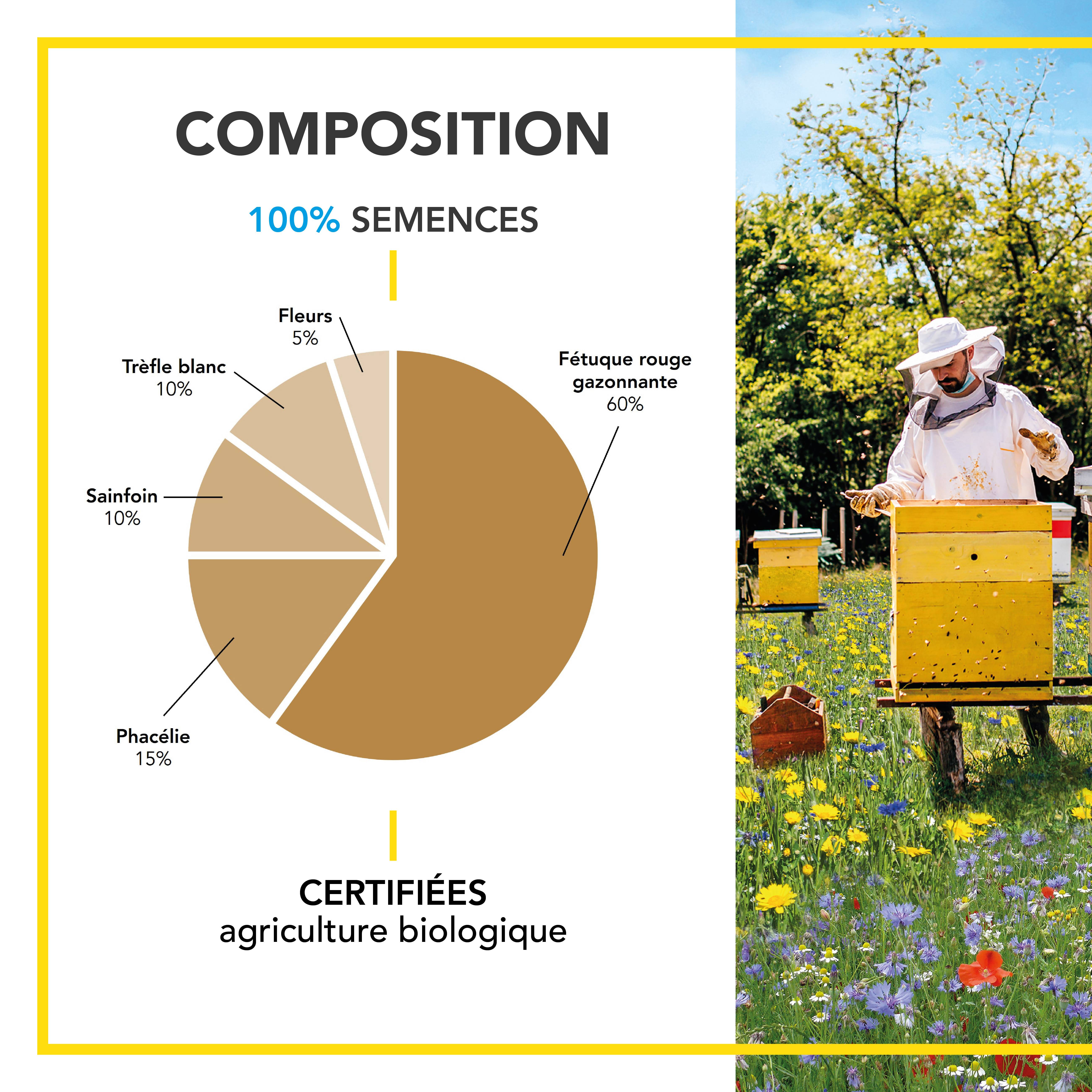 Barenbrug - Mélange Pollinisateurs - Nectar et Pollen en Abondance - Attire Papillons et Insectes Pollinisateurs - Floraison Printemps/Été - 250G - BARENBRUG - Image 3