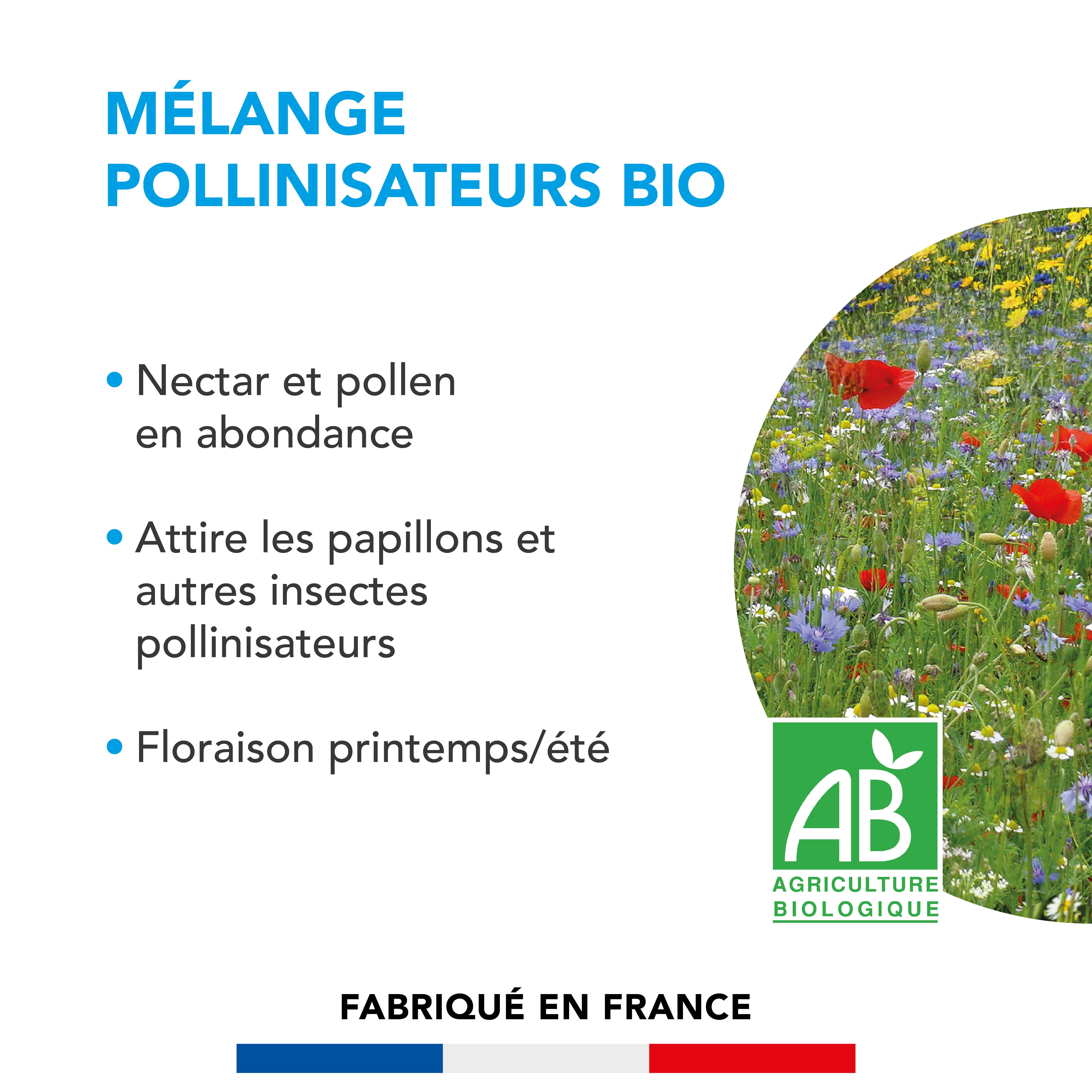 Barenbrug - Mélange Pollinisateurs - Nectar et Pollen en Abondance - Attire Papillons et Insectes Pollinisateurs - Floraison Printemps/Été - 250G - BARENBRUG - Image 2