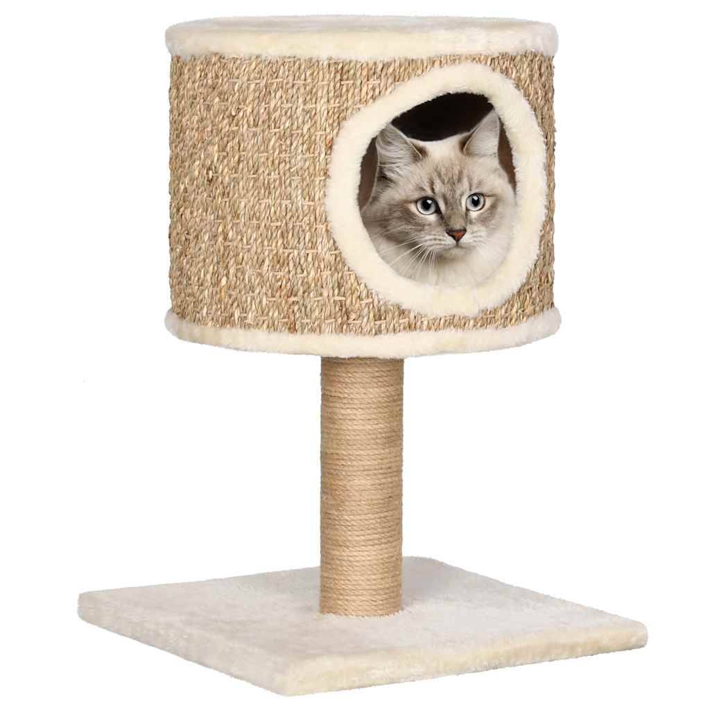 Vidaxl - Arbre à chat avec appartement et griffoir 52 cm Herbiers marins vidaXL 170972 - Imagen 1