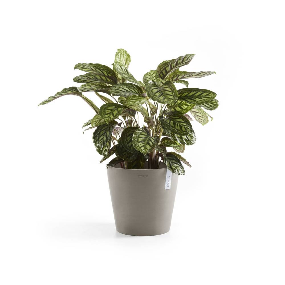 Ecopots - Pot Rond Amsterdam 30 Taupe + réservoir d'eau - Ø 30 x H. 26,3 cm - 12,8 L ECOPOTS - Imagen 3