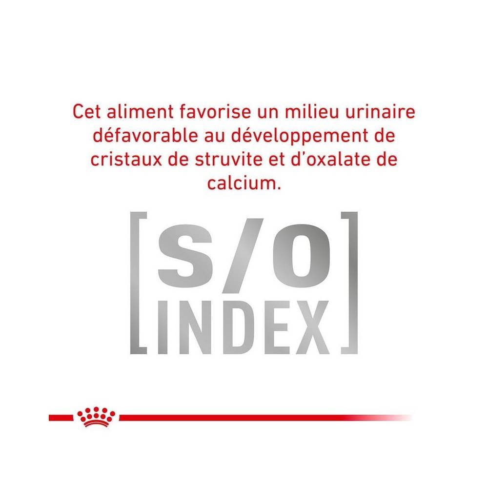 Royal Canin - Croquettes chat VETERINARY CAT SKIN COAT - Royal Canin 1,5 kg - Image 9