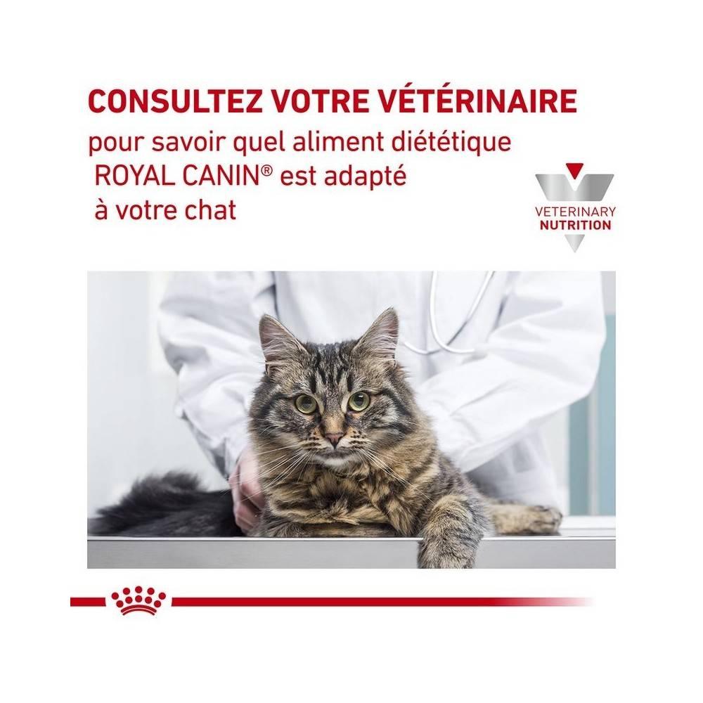 Royal Canin - Croquettes chat VETERINARY CAT SKIN COAT - Royal Canin 1,5 kg - Image 8