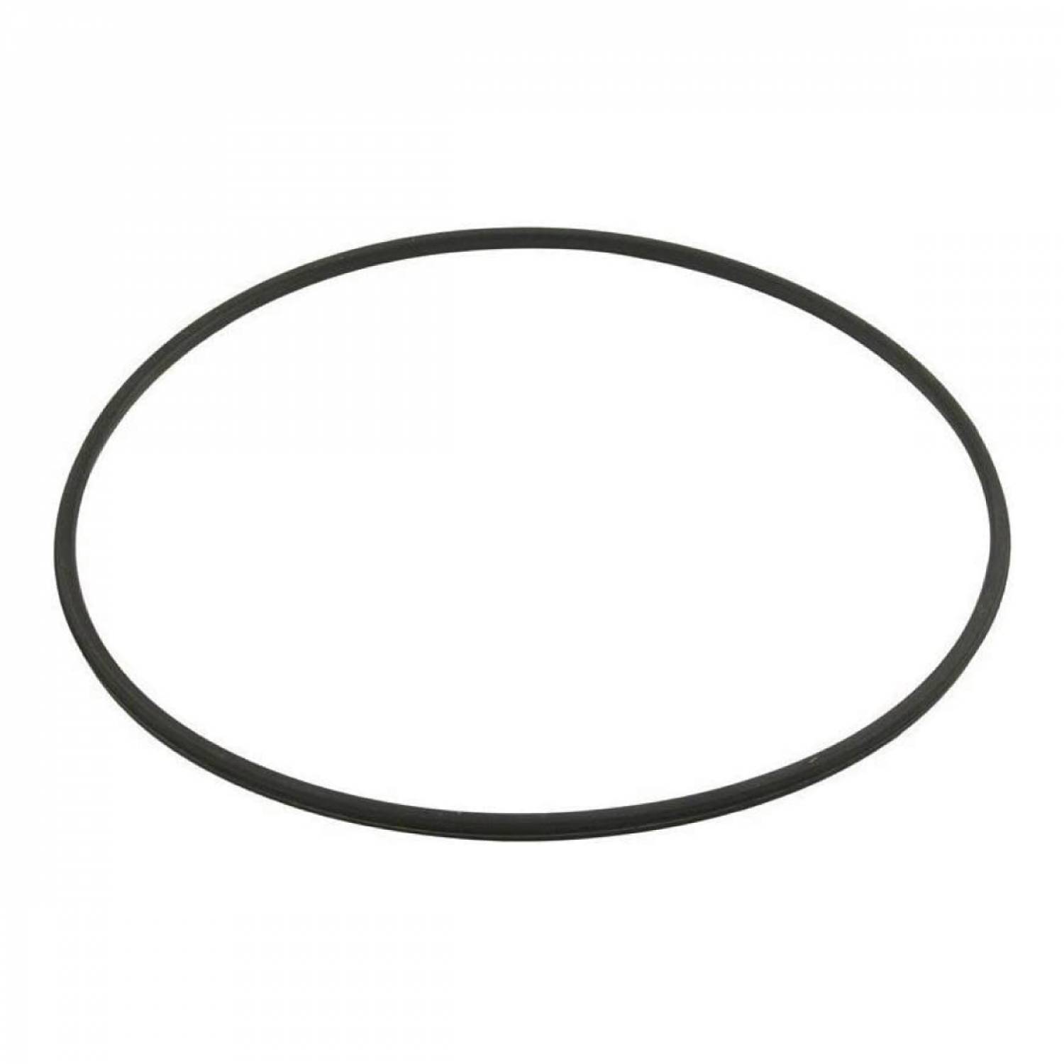 Hayward - joint torique pour filtre à cartouche de piscine SwimClear - CXFHR1001 - Hayward
