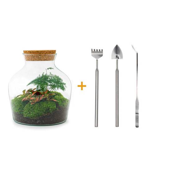 Diy Terrarium - Image 1