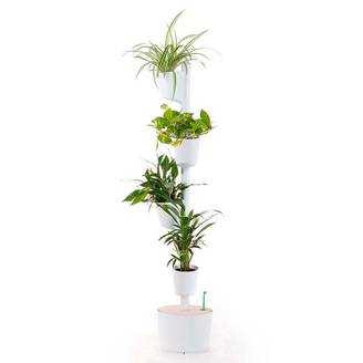 XCRPRT Lot De 16 Soucoupes Rondes Plastique Noir Pour Pots De Fleurs + 20 Étiquettes Colorées - Intérieur & Extérieur - Résistantes & Décoratives