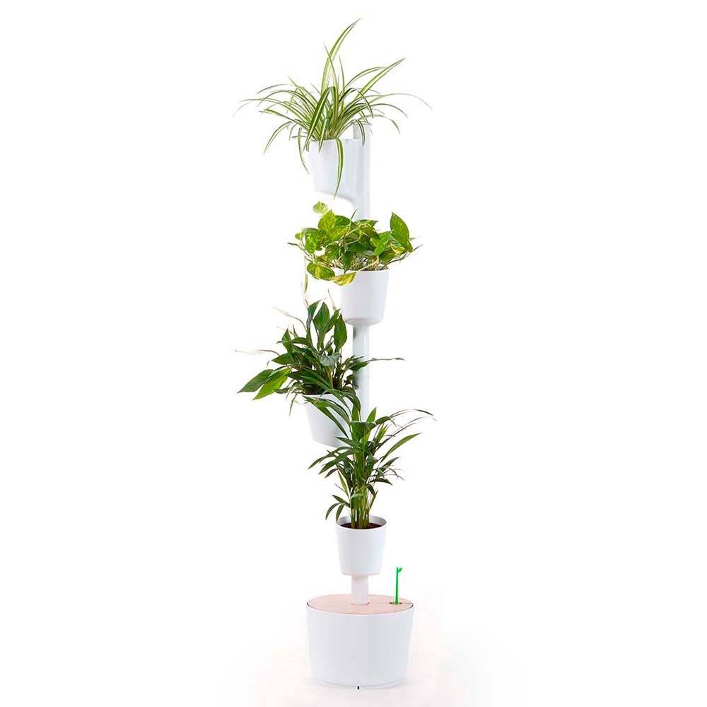 XCRPRT Lot De 16 Soucoupes Rondes Plastique Noir Pour Pots De Fleurs + 20 Étiquettes Colorées - Intérieur & Extérieur - Résistantes & Décoratives
