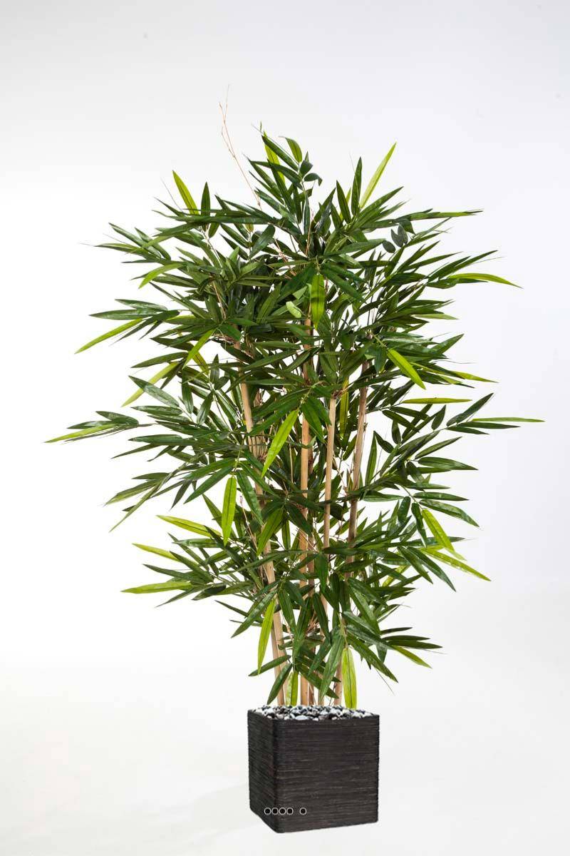 Artificielles - Bambou new artificiel H 180 cm 1216 feuilles cannes moyennes - dimhaut: H 180 cm - couleur: Vert - div: F - Imagen 2