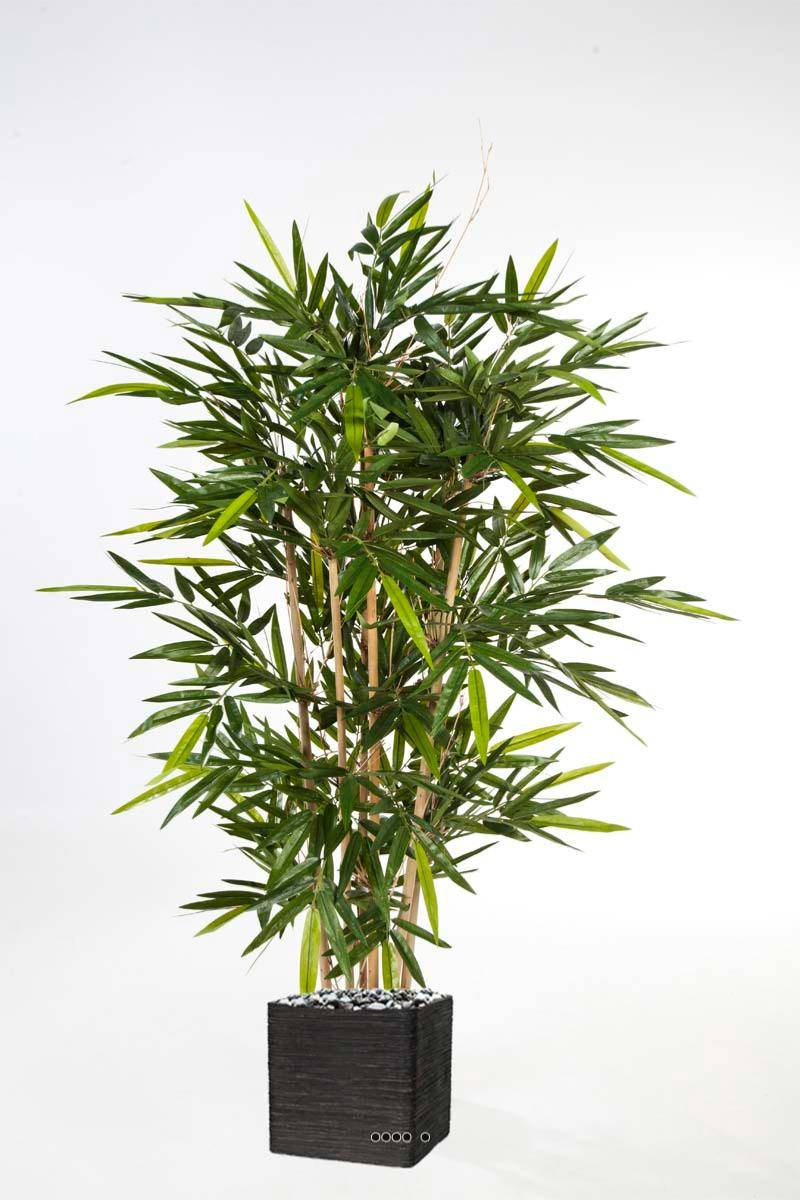 Artificielles - Bambou new artificiel H 180 cm 1216 feuilles cannes moyennes - dimhaut: H 180 cm - couleur: Vert - div: F - Imagen 1