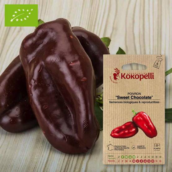 Graines bio à semer - Poivron Sweet Chocolate- Association Kokopelli
