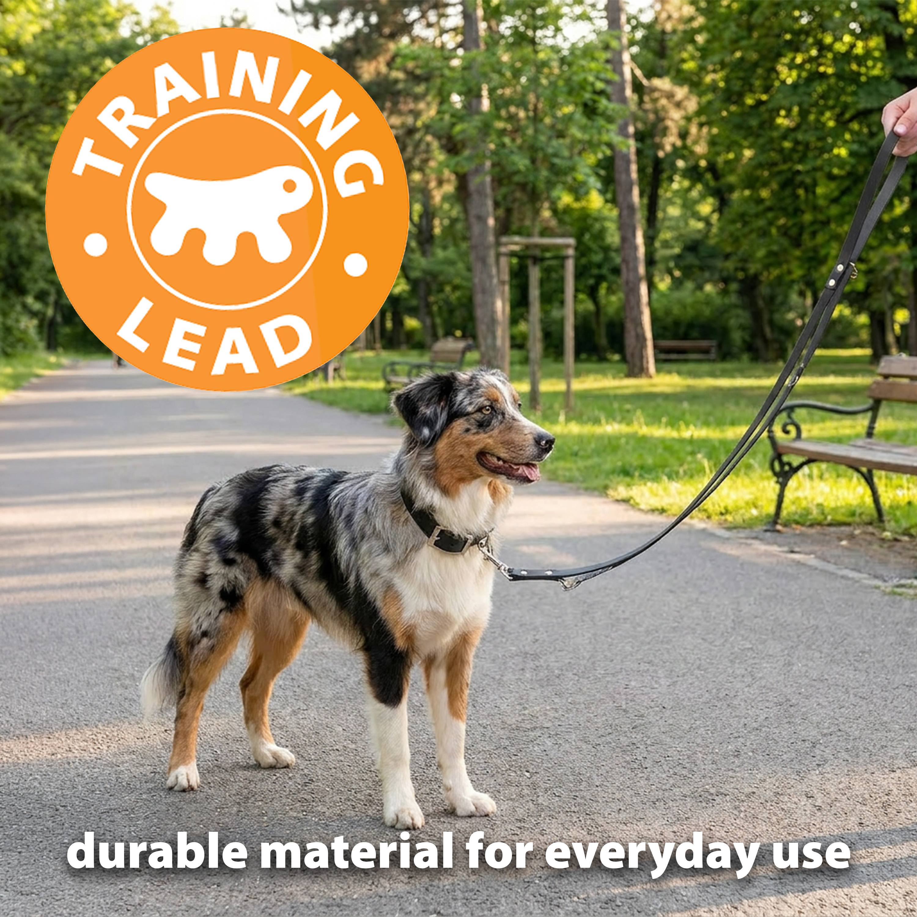 Ferplast - Laisse de dressage chien chiens en cuir noir ou naturel FERPLAST - Imagen 7