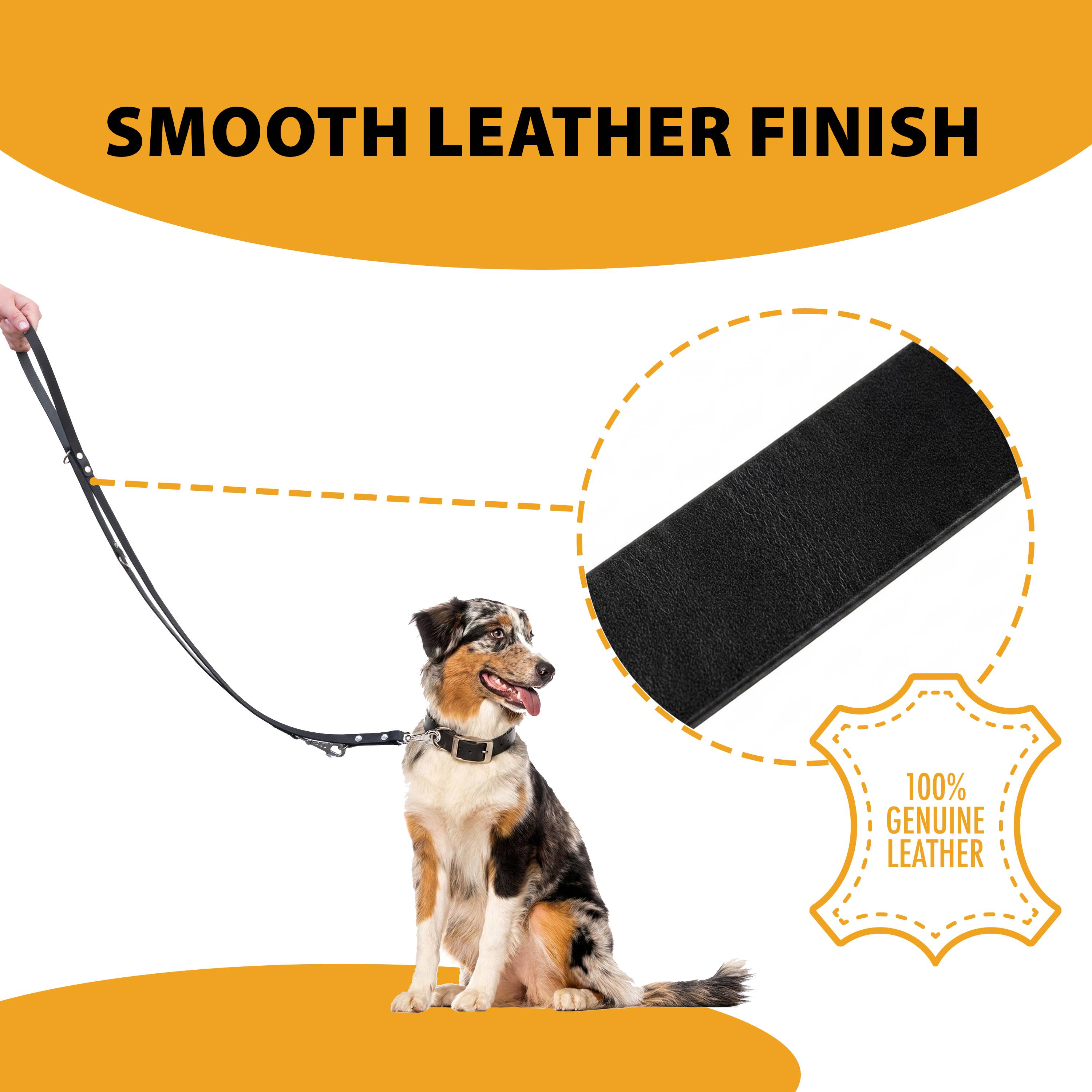 Ferplast - Laisse de dressage chien chiens en cuir noir ou naturel FERPLAST - Imagen 6
