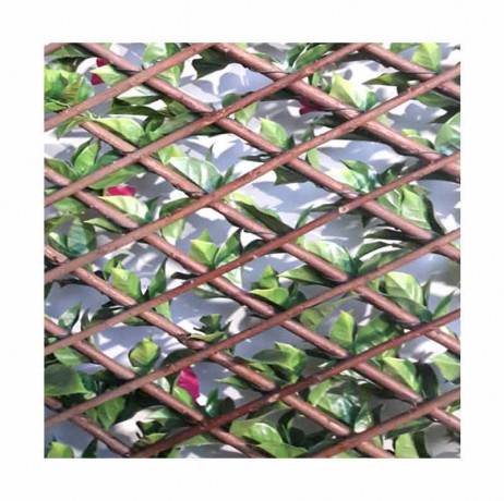 James Grass - France Green - Treillis extensible feuillage bougainvilliers, Long 24 m, Hauteur 1 m - Imagen 2