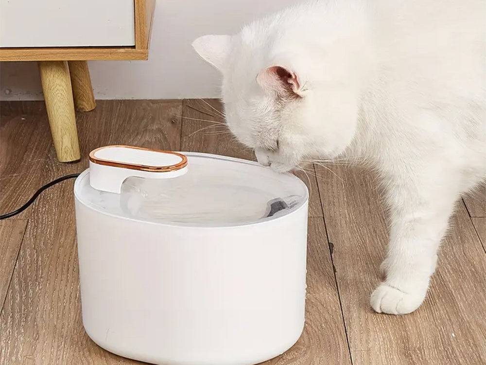Bol fontaine pour animaux- blanc - Image 6