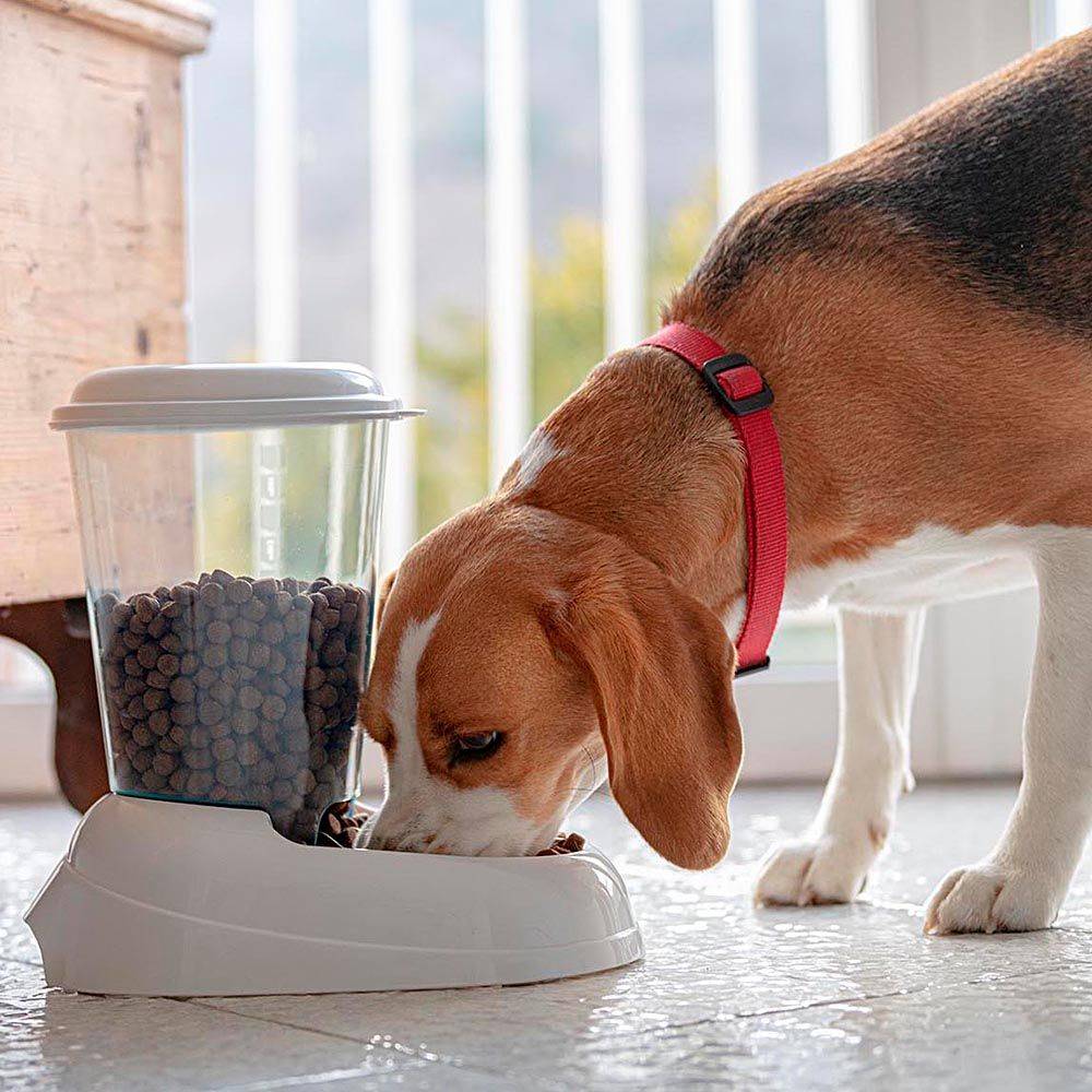 Ferplast - Ferplast Distributeur de croquettes pour chiens et chats ZENITH, 3 litres, Distributeur de croquettes pour animaux, fond antidérapant, 20,2 x 29,2 x h - Imagen 3