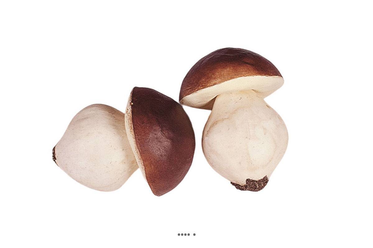 Artificielles - Bolets artificiels en lot de 2 en Plastique soufflé H 140x110 mm - Imagen 1