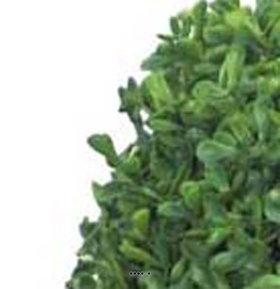 Artificielles - Buis boule factice sur tronc Ext. en pot anti-UV H60cm D25cm - BEST - dimhaut: H 60 cm - couleur: Vert - Imagen 4