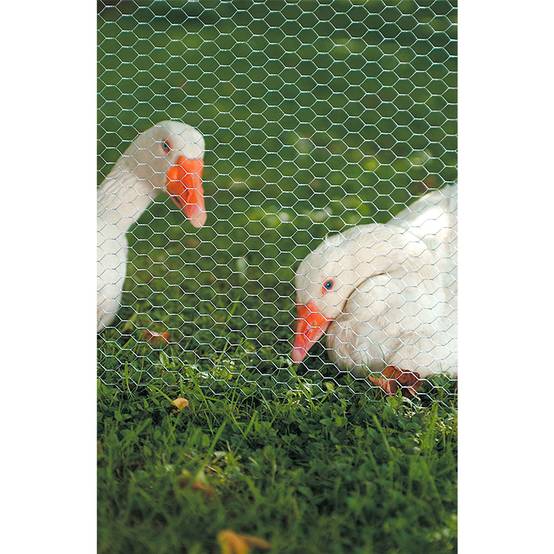 Windhager - Grillage à poule 0,5 x 10 m hexagonal galva - Image 2