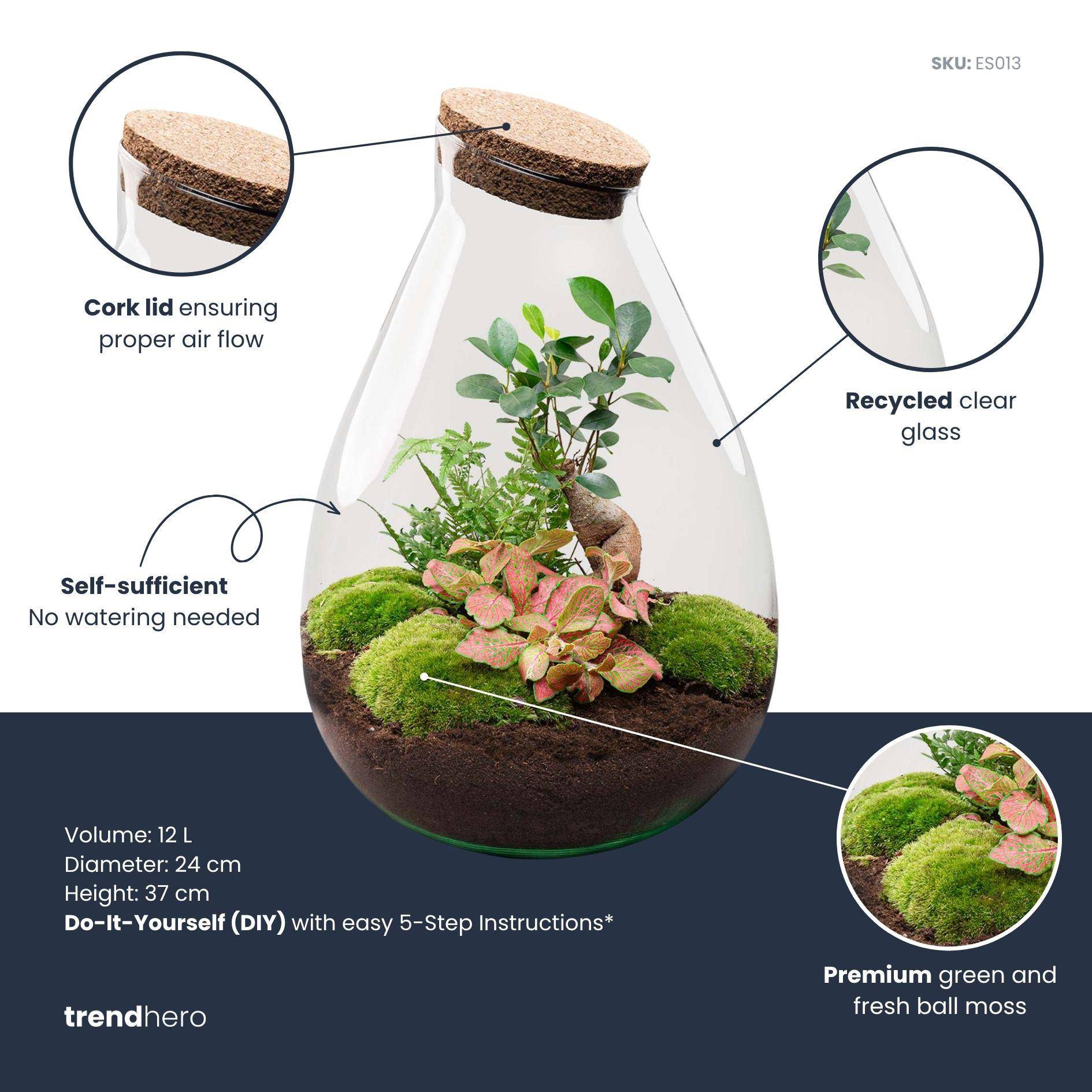 Terrarium à composer goutte en verre recyclé - Ø29-H37cm - avec kit 4 outils - Terrarium DIY - Image 2