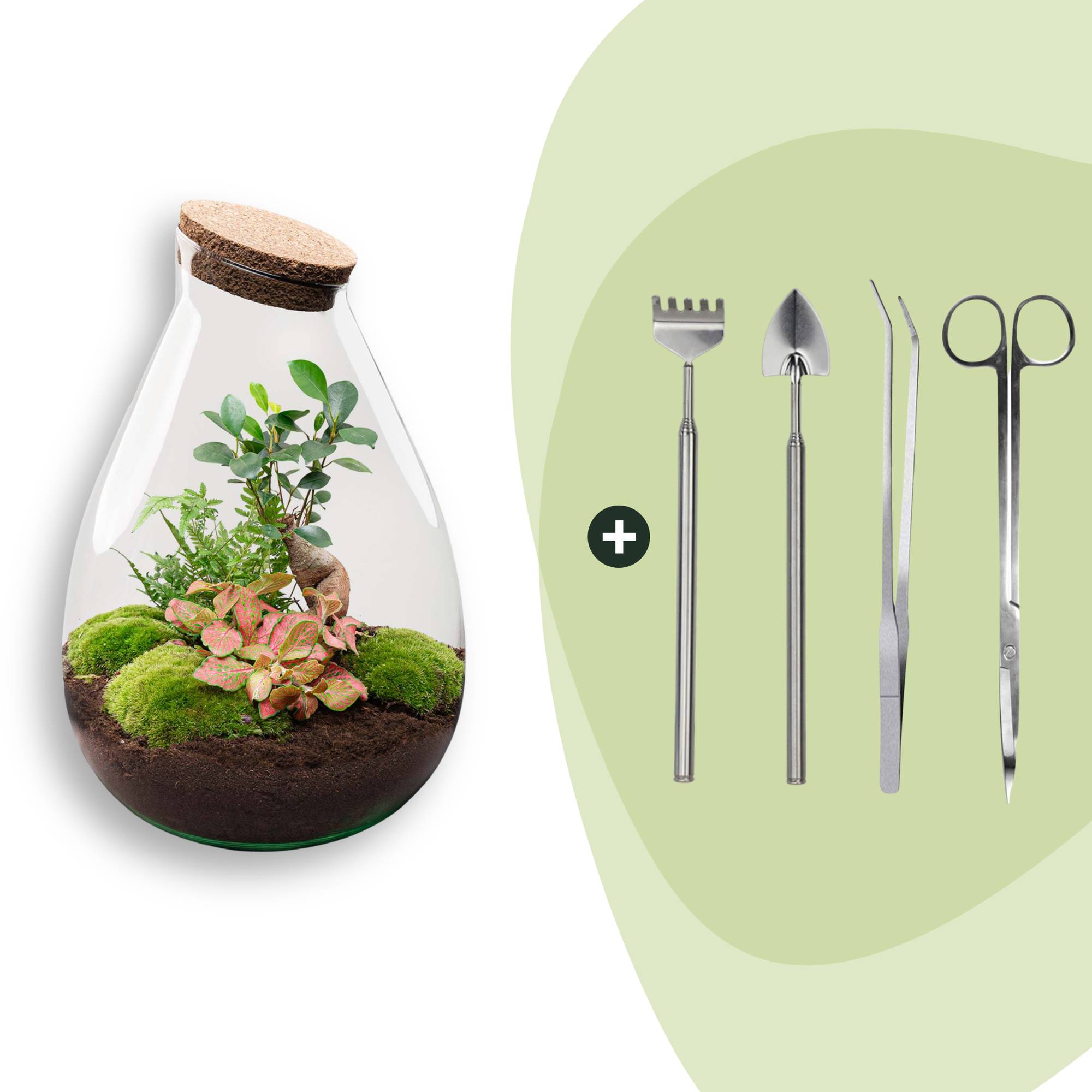 Terrarium à composer goutte en verre recyclé - Ø29-H37cm - avec kit 4 outils - Terrarium DIY - Image 1